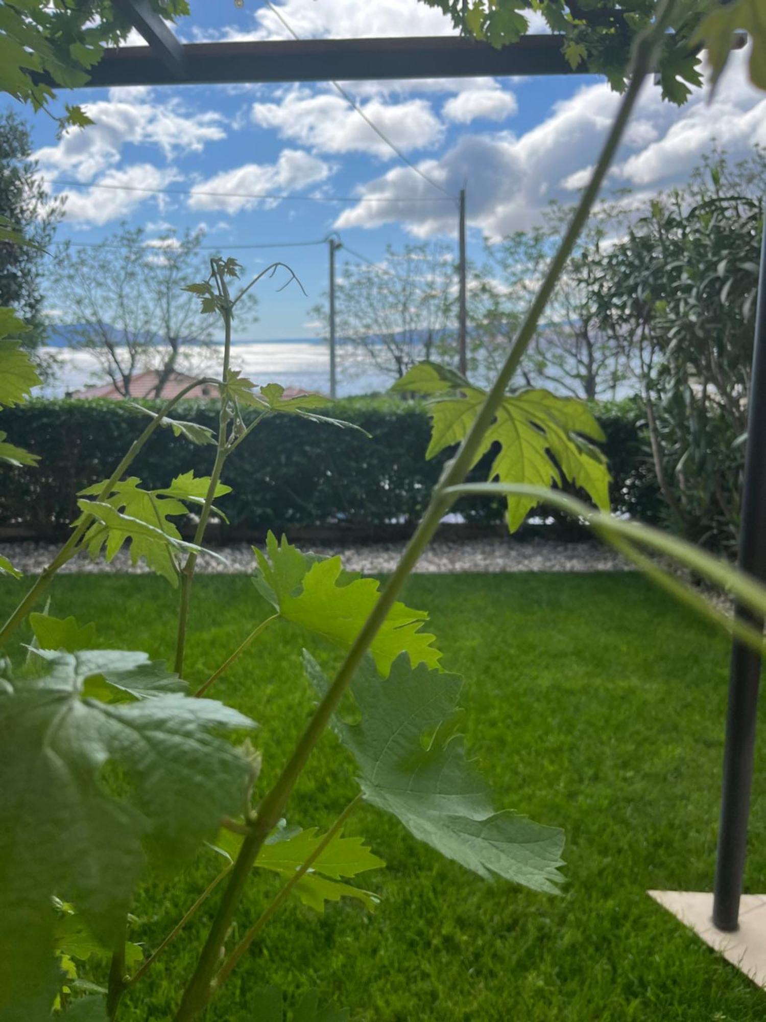 Apartman Mia Senj  Exteriér fotografie